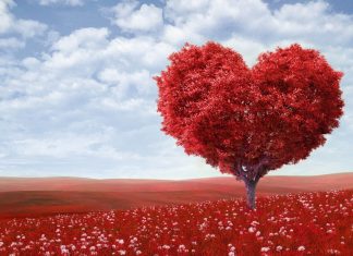 Le Conseil – Soyez calme et en paix